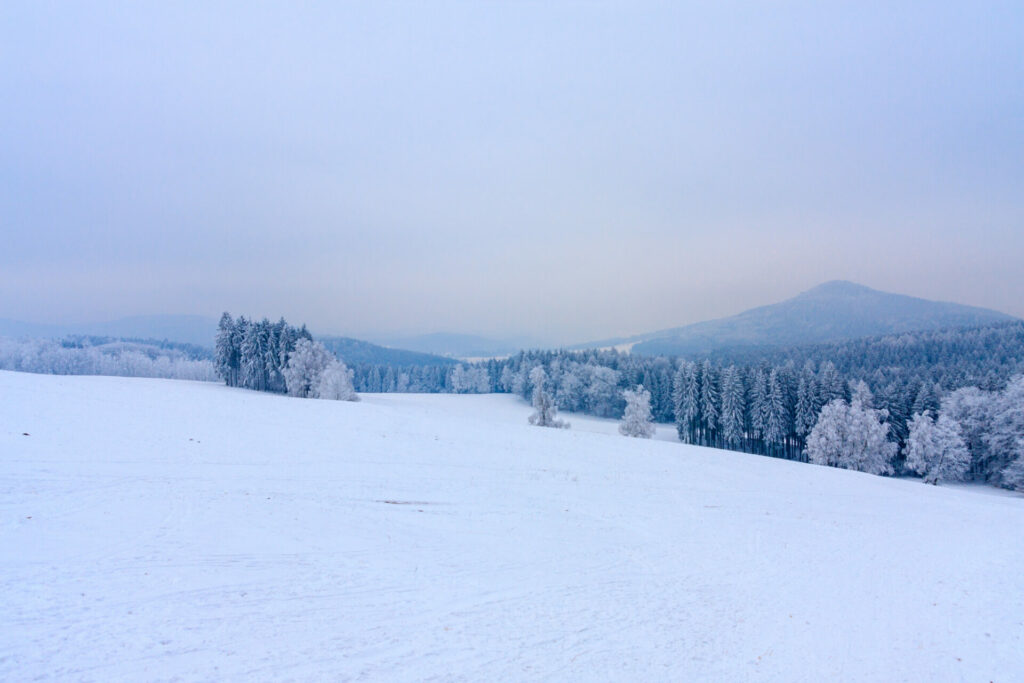 Winterlandschaft